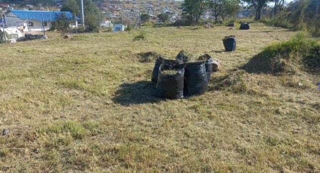 Modern hair products on a shelf.